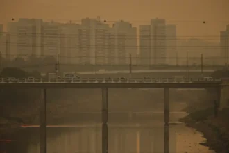CMN muda regra do Eco Invest para impulsionar projetos verdes