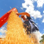 Atividade econômica brasileira cresce 0,6% em fevereiro
