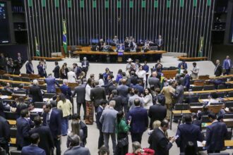 Câmara aprova Medida Provisória com novas regras para seguro-defeso