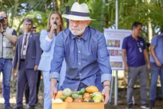 Lula: qualidade do agro é essencial para ampliar exportações