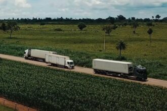 Serviços avançam 0,1% em fevereiro, patamar recorde da série histórica