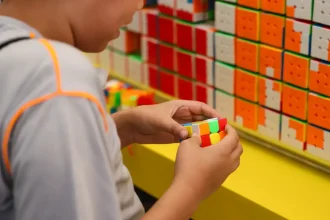 Começa primeira etapa do Censo da Educação Básica 2026