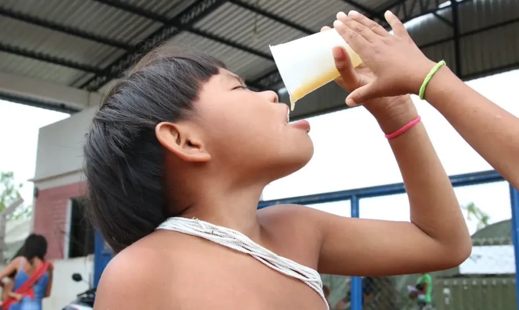 Consumo de alimentos ultraprocessados cresce entre povos tradicionais