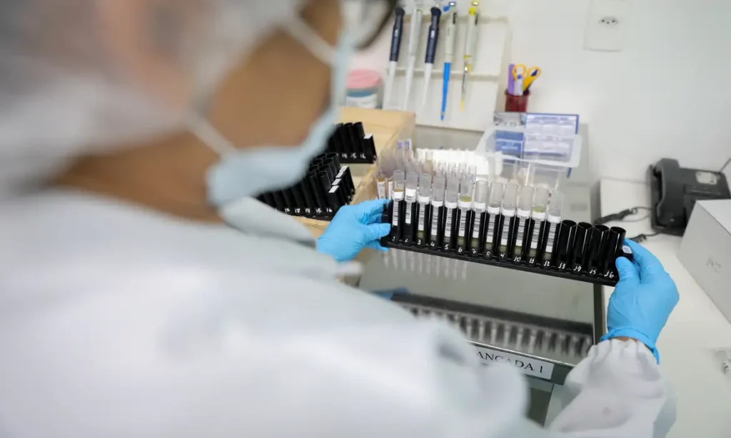 Fiocruz obtém patente para tratamento contra malária resistente