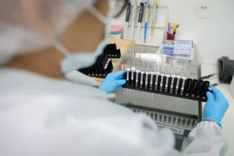 Fiocruz obtém patente para tratamento contra malária resistente
