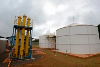 Gás natural: conselho fixa meta de descarbonização do setor em 0,5%