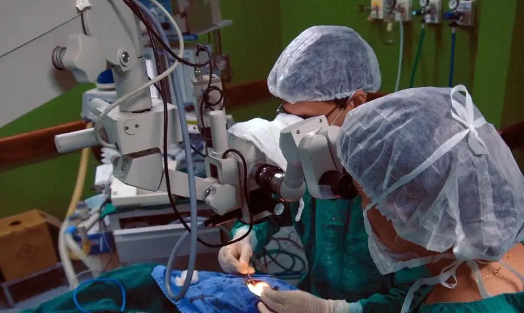 Risco cardíaco dobra para pacientes com doença de Chagas após cirurgia