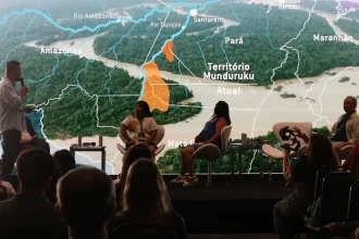 Contaminação por mercúrio coloca gestantes e bebês Munduruku em risco